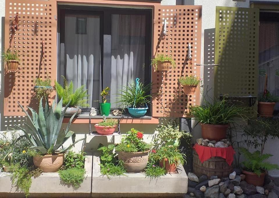 Guest House Lion Tbilisi Luaran gambar
